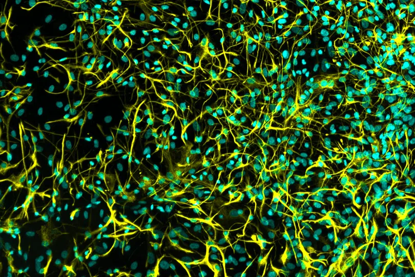 1636d122c1f957dcc4aaf2158e7d0b0068b9af4c4247171a0d5eb2d9f6408f9b