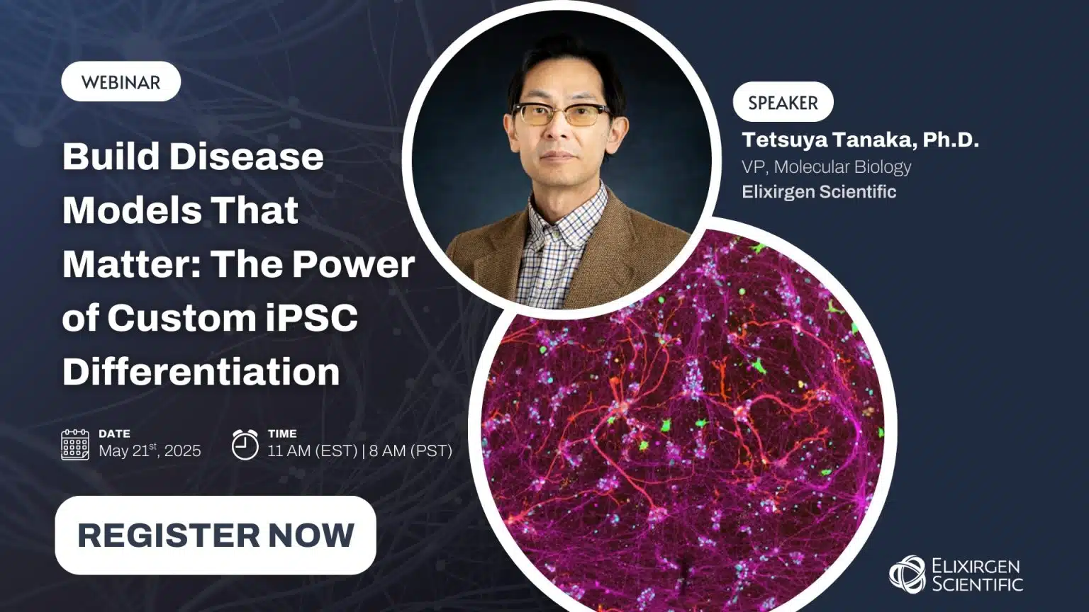 Webinar: Build Disease Models That Matter: The Power of Custom iPSC Differentiation