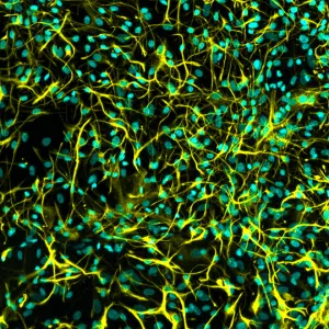 1636d122c1f957dcc4aaf2158e7d0b0068b9af4c4247171a0d5eb2d9f6408f9b