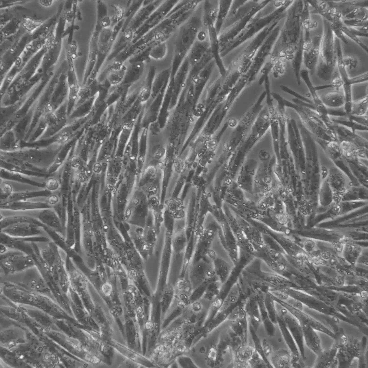 4814b13e79b8c4e52ec3a33aaccaf840bf5e0d563bfa0ce290fa3ede8d43fb3e