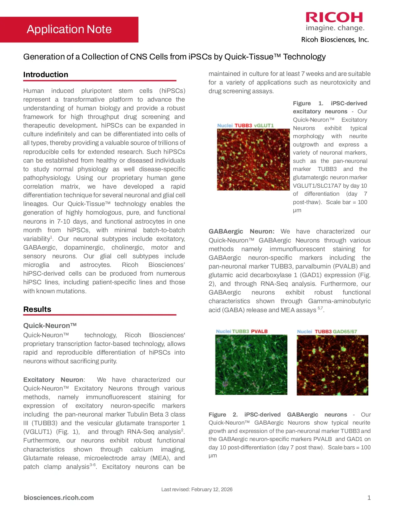 Generation of a Collection of CNS Cells from iPSCs by Quick-Tissue™ Technology