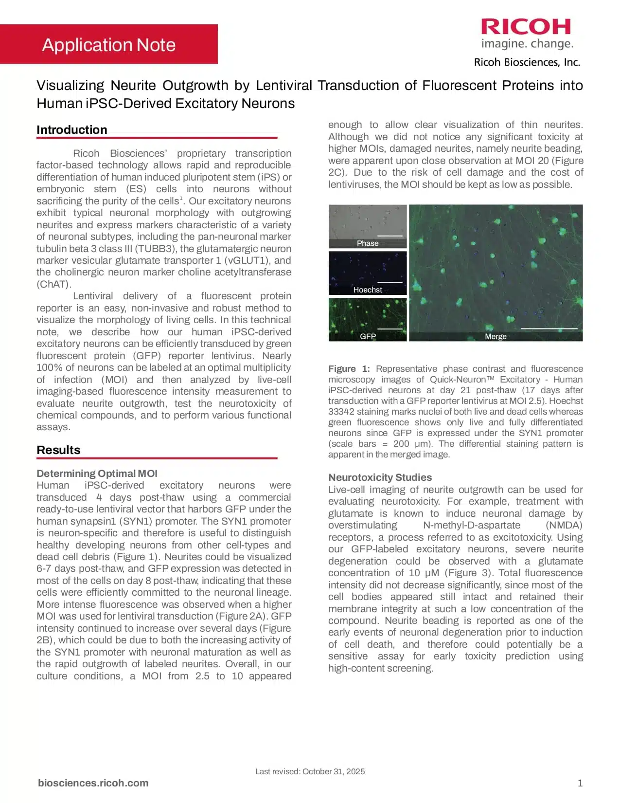 Cover of the neurite outgrowth visualization application protocol