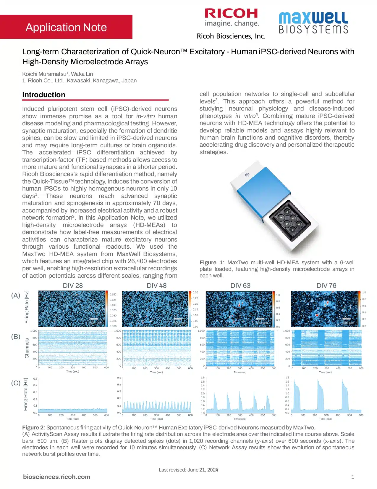 Long-Term Functional Characterization of Human iPSC-Derived Excitatory Neurons with High-Density Multielectrode Arrays