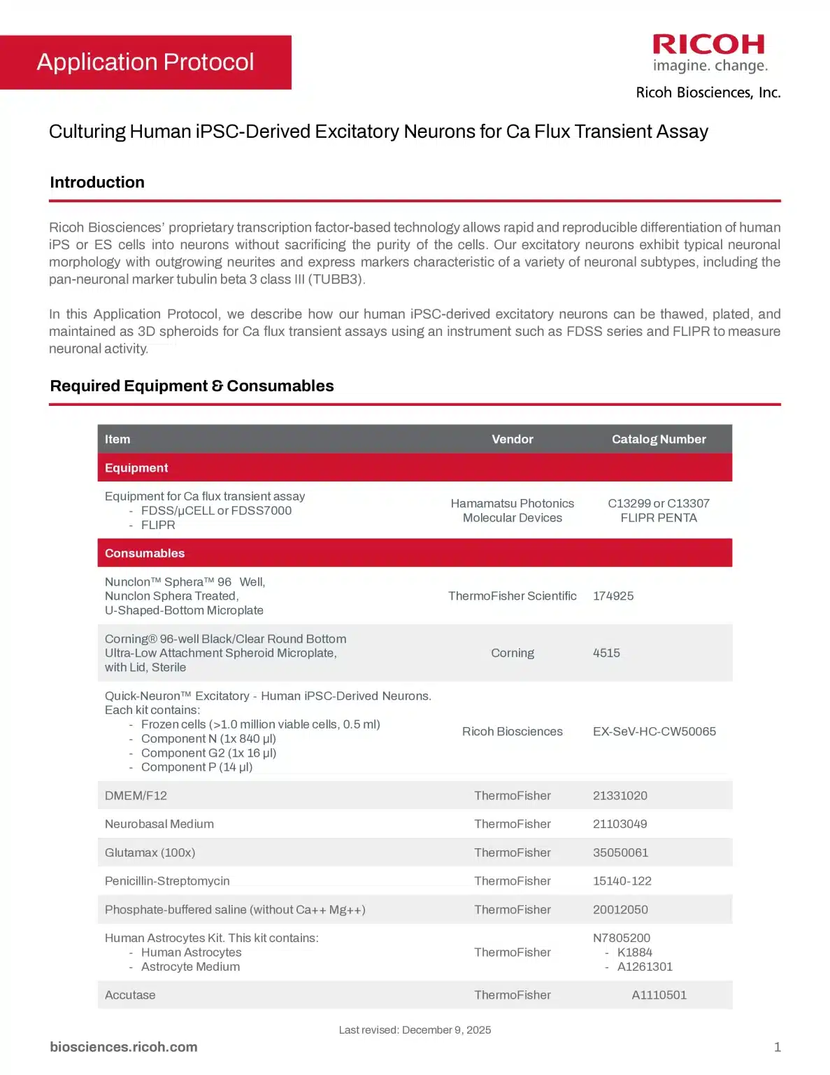 Culturing Human iPSC-Derived Excitatory Neurons for Ca Flux Transient Assay