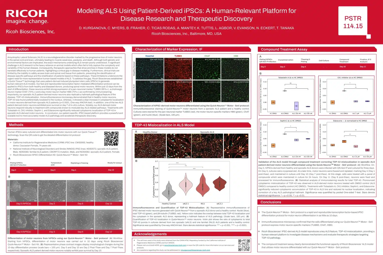 Modeling ALS Using Patient-Derived iPSCs: A Human-Relevant Platform for Disease Research and Therapeutic Discovery (SfN 2025)