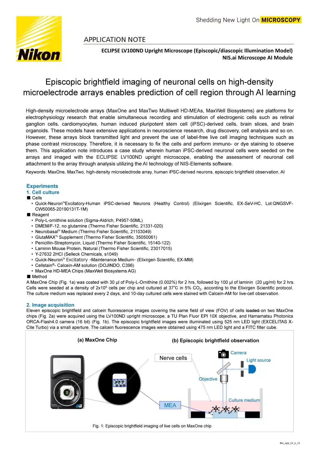 Episcopic Brightfield Imaging of Neuronal Cells on High-Density Microelectrode Arrays Enables Prediction of Cell Region Through AI Learning