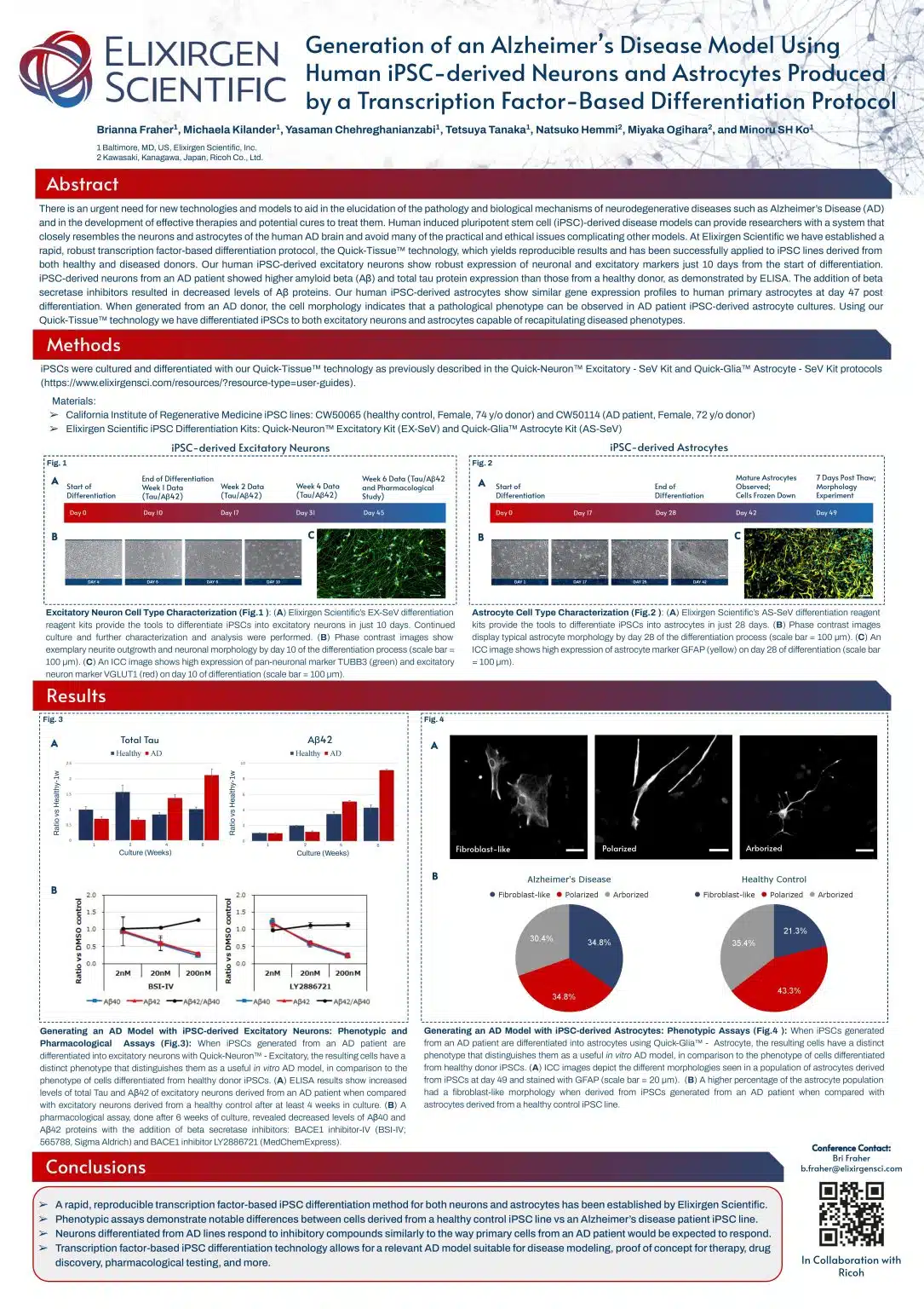 Generation of Alzheimer’s Disease Model Using Human iPSC-derived Neurons and Astrocytes Produced by a Transcription Factor-Based Differentiation Protocol (Neuro4D 2022)