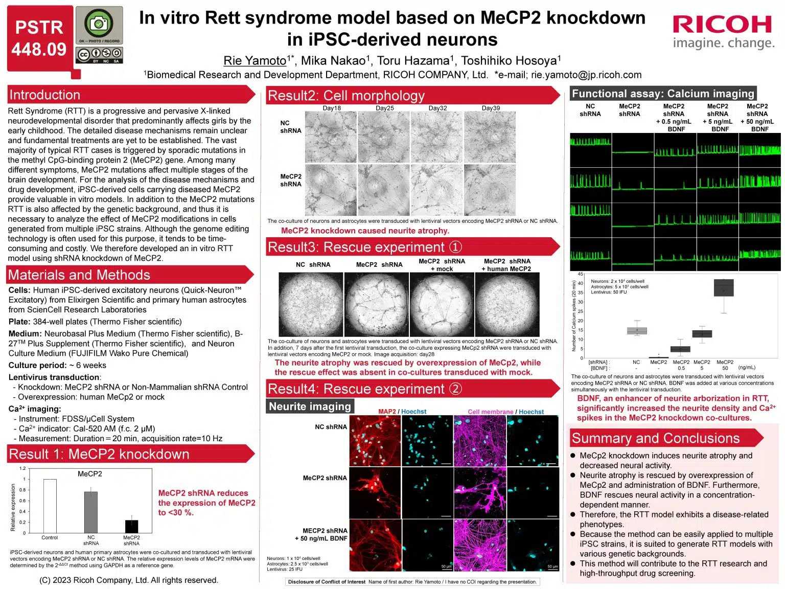 In vitro Rett syndrome model based on MeCP2 knockdown in iPSC-derived neurons (Society for Neuroscience 2023)