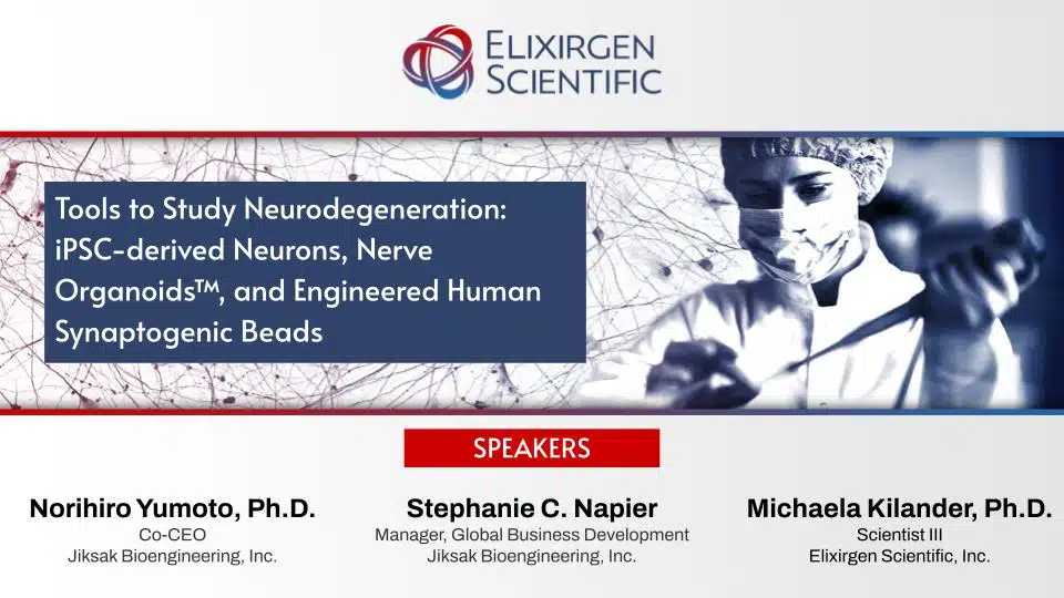 Tools to Study Neurodegeneration: iPSC-derived Neurons, Nerve Organoids, and Synaptogenic Beads